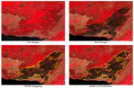 FLOGA: A machine learning ready dataset, a benchmark and a novel deep learning model for burnt area mapping with Sentinel-2